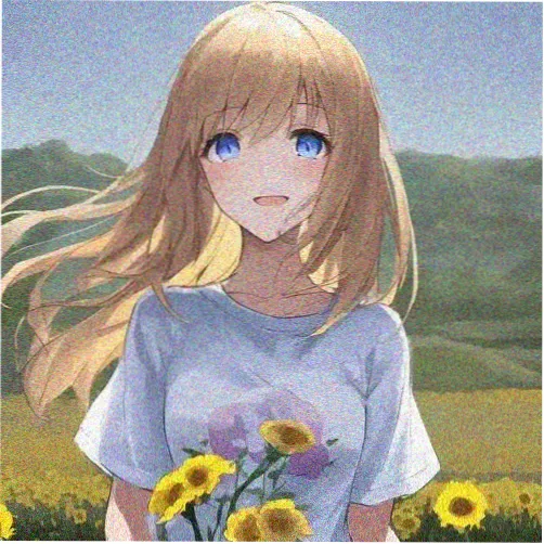 读者青岚的头像